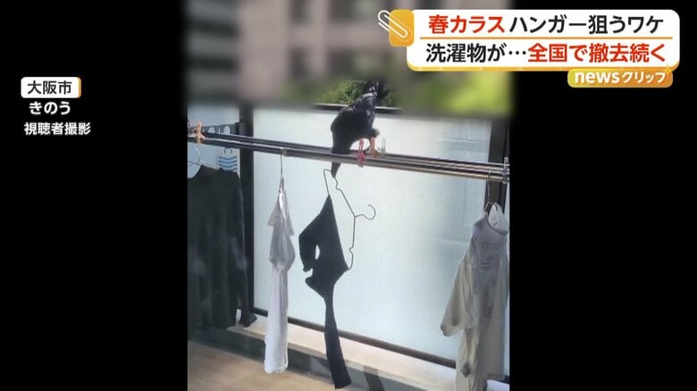 （21日、大阪市）