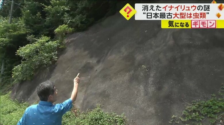 イナイリュウの化石を探す鈴木孝也さん