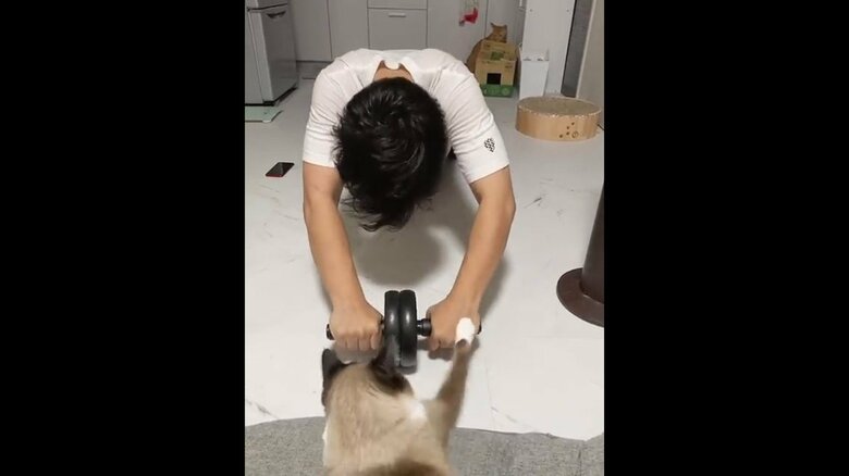 提供：たぬき&とらさん