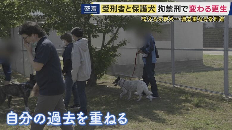 自分の過去を重ねる