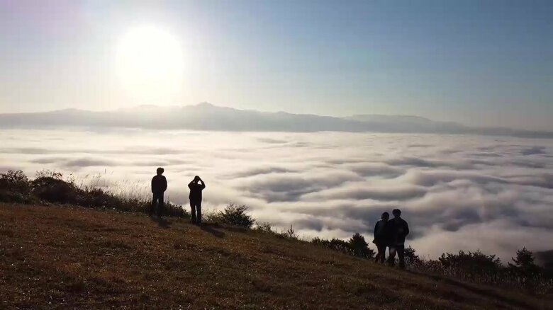 一面に広がる「雲海」（遠野市の高清水展望台、午前6時頃）
