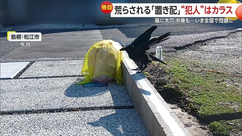 カラスが黄色いネットをくちばしで器用に外す様子