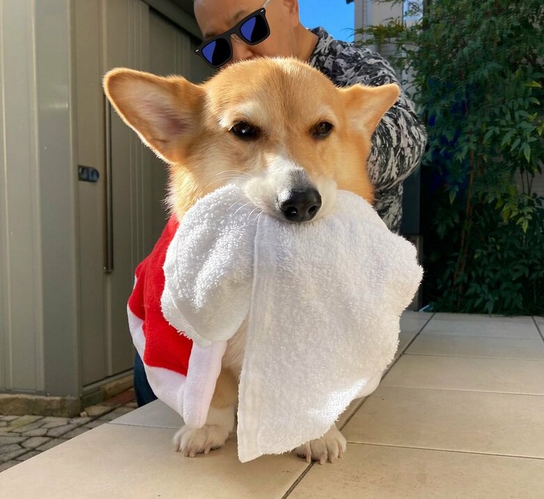 お父さんの汗ふきタオルはたまらん様子