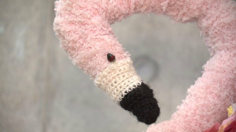 フラミンゴの目は“テントウムシ”