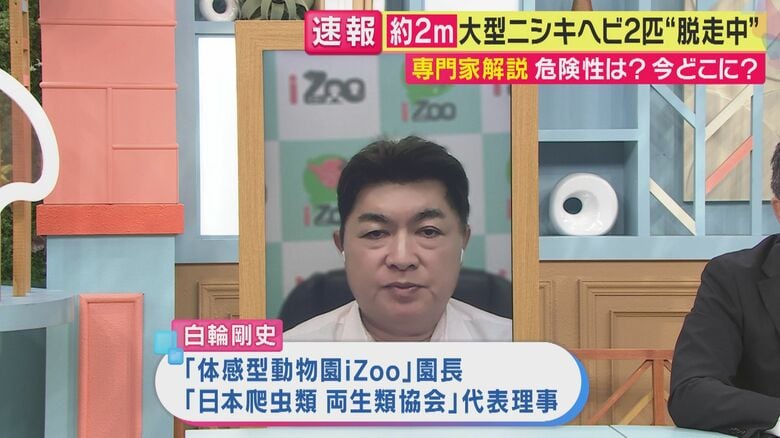 体感型動物園「iZoo」園長の白輪剛史さん（関西テレビ「旬感LIVE とれたてっ！」より）