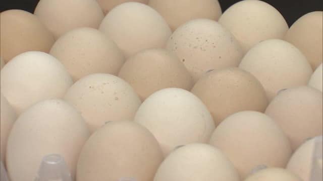 物価の“優等生”は値上がりを続けている