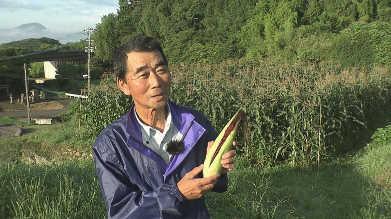 生産者　伊藤堂喜さん
