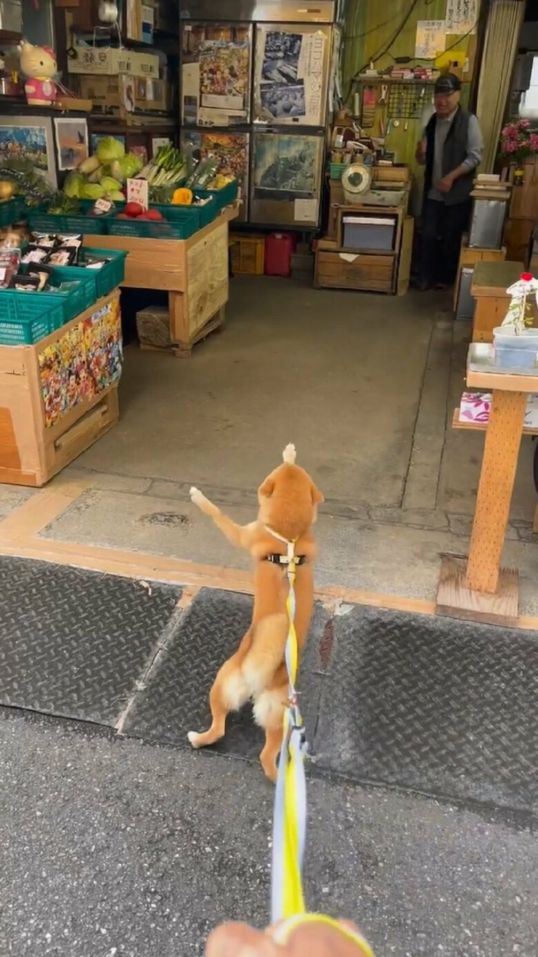 早く来て！