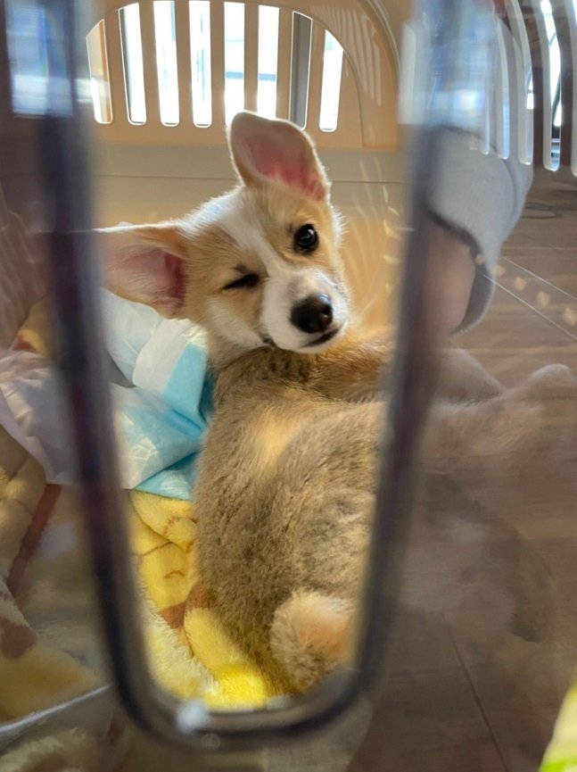 小さい頃の銀太くん