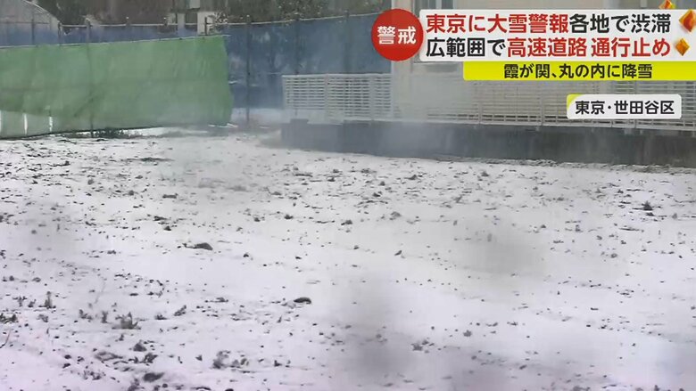うっすらと積もった雪で地面が白く染まっていた