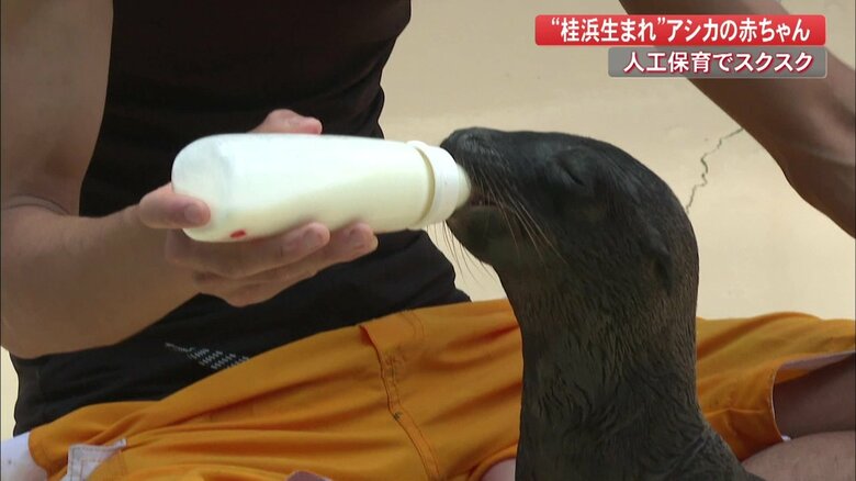 ミルクは3時間ごとに　一日中つきっきり