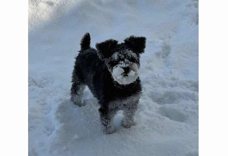 提供：くぅさん