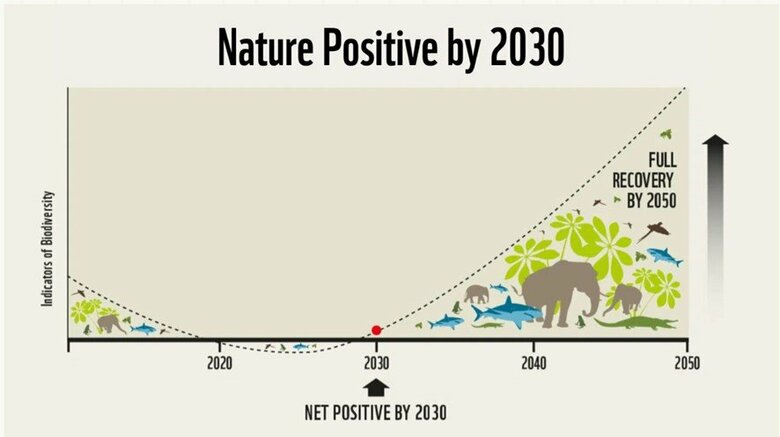 Nature Positive - A Global Goal for Natureより