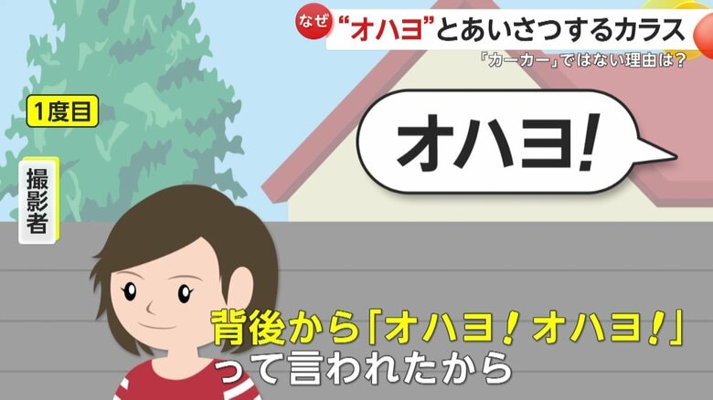 驚きの出会いだったと話す1度目の遭遇（イメージ画像）