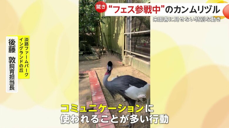 「あいさつみたいなコミュニケーションに使われることが多い行動」と話す飼育員