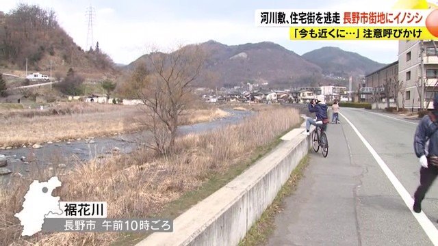 裾花川