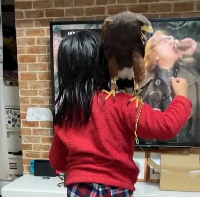 長女さんの肩上にいるキールくん