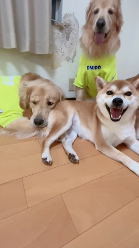 提供：ムックパパさん