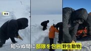 「なんてこと！」知らぬ間に野生ペンギンの群れが極寒訓練中のニュージーランド軍“包囲”…南極でのまさかの光景