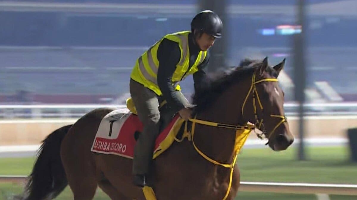 1着賞金10億円！ウシュバテソーロ2連覇へ 川田将雅騎手「自信あり」【競馬・ドバイワールドカップデー】｜FNNプライムオンライン