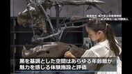 日本初！福井県立恐竜博物館「化石研究体験」がドイツの世界的デザイン賞で最高賞「あらゆる年齢層にとって魅力的」と評価