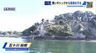 “黒いギャング”を寄せつけるな　世界遺産の島を守るために…「テープ対策」で緑が戻ってきた【広島発】