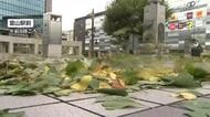 富山県内に強い南風、日中は26度と9月並みの暖かさ　午後から雨と雷に注意