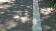車を運転中に小学生にぶつかる　88歳の女をひき逃げの疑いで逮捕