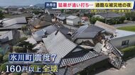 【現地報告】「仮設住宅が一番欲しい」水やりのため倒壊した自宅近くから離れられず車中泊続ける85歳イチゴ農家の願い　被災者苦しめる猛暑　熊本地震　「気を遣う」避難所行かず車中泊する人多く