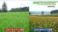 自然の宝庫“尾瀬”の湿原を守る　貴重な高山植物を食べるニホンジカ　増える「食害」を防ぐ柵を設置