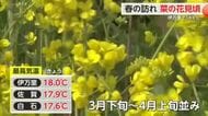 神埼市で菜の花が見頃！県内最高気温 伊万里で18℃【佐賀県】