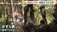 自然とスリルを満喫　徳島・かずら橋賑わう