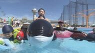 新居浜で今季一番の３８．６度　愛媛は２８日も猛烈な暑さ　夏休みの子供はやっぱりプール【愛媛】