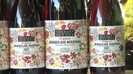 「ボジョレ・ヌーボー」到着 家飲み需要受け輸入量増