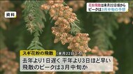 スギ花粉の飛散開始「来月22日ごろ」…県森林研究所今季2回目の…