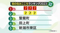 新潟県内『街の住みここちランキング』 2年ぶりトップに返り咲いた地域は？「子育て世代が住みやすい」