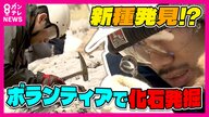 恐竜化石の聖地でボランティア発掘　化石を探し無心になって石を割り続けることにハマる人続出　20年連続で参加する人も