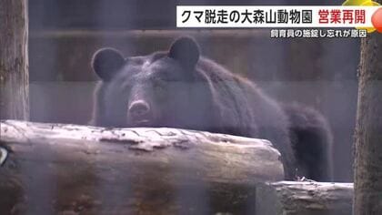 大森山動物園、5日ぶりに営業再開　クマ脱走で一時休園　園長「安心して楽しんでもらえる動物園目指す」