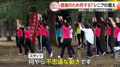 年金だけじゃムリ？シニアはどんな備えをしている【しらべてみたら】