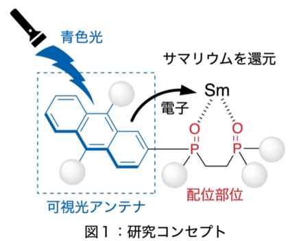 可視光エネルギーでサマリウムを還元する配位子開発に成功-希土類元素(レアアース)であるサマリウムの使用量を100分の1以下に削減-