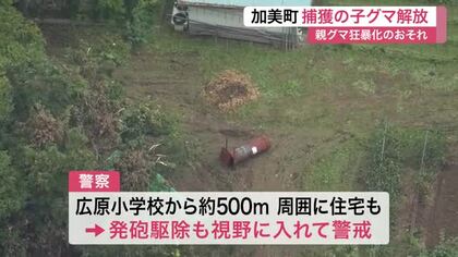 わなにかかった子グマのそばを親グマが離れず　約３時間後に解放　現場は小学校から約５００メートル