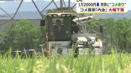 「農家やめた方がいい」JA福井県のコシヒカリ内金が去年を1万2000円下回る　「安くなるならいい」消費者は歓迎　「令和の米騒動」から3度目の夏