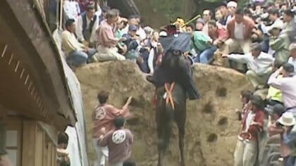 骨折馬を殺処分で苦情2400件　「上げ馬神事」に改善勧告　伝統か虐待かで波紋「やはりこのままでは…」　三重・桑名