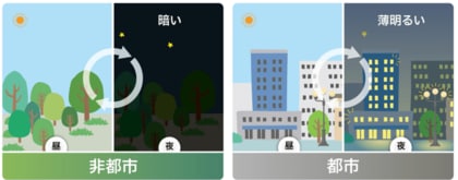 光害は昆虫の体内時計を撹乱し、寿命を短くする~都市の個体は夜間光に対抗する術を進化させる~