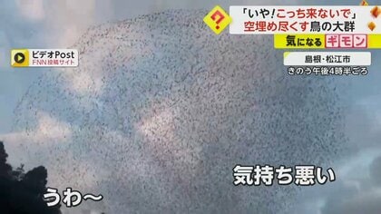 こっち来ないで！」空を埋めつくす鳥の大群 正体は「トモエガモ」か