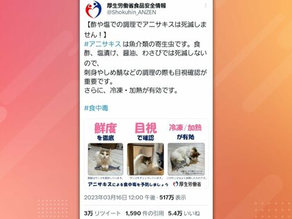 猫パンチでは倒せません」アニサキスによる食中毒を“猫”が注意