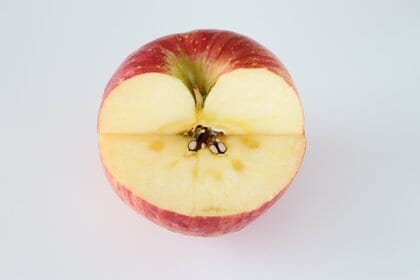 蜜入りの「蜜」の正体は？