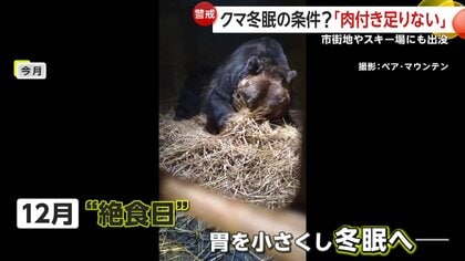目が合った」クマがスキー場に出没“猛ダッシュ”で追いかけられる