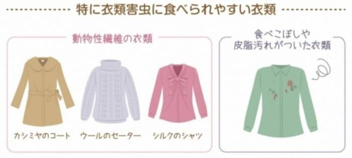 特に衣類害虫に食べられやすい衣類(提供:エステー株式会社)