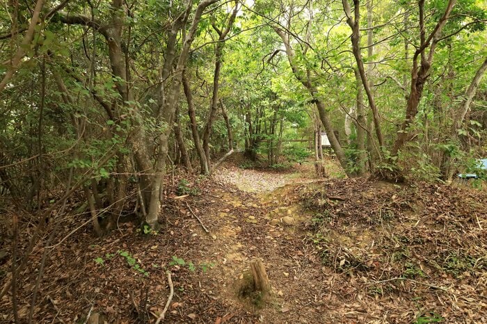 平井村中村間ノ山付城の主郭は360度が土塁で囲まれている